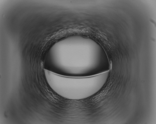 X0000098021492200803280741
