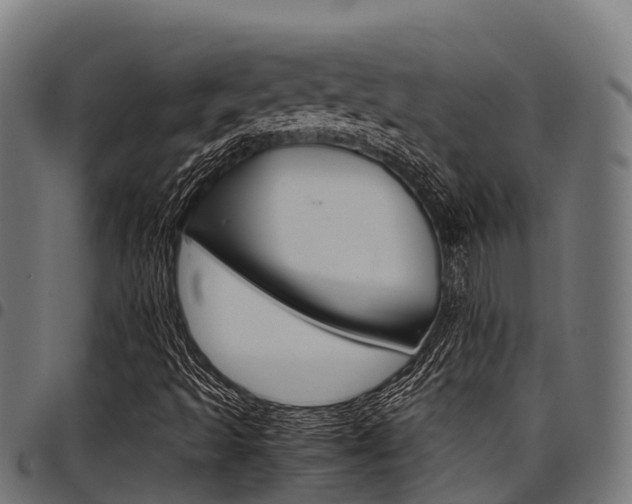 X0000098021493200803280741