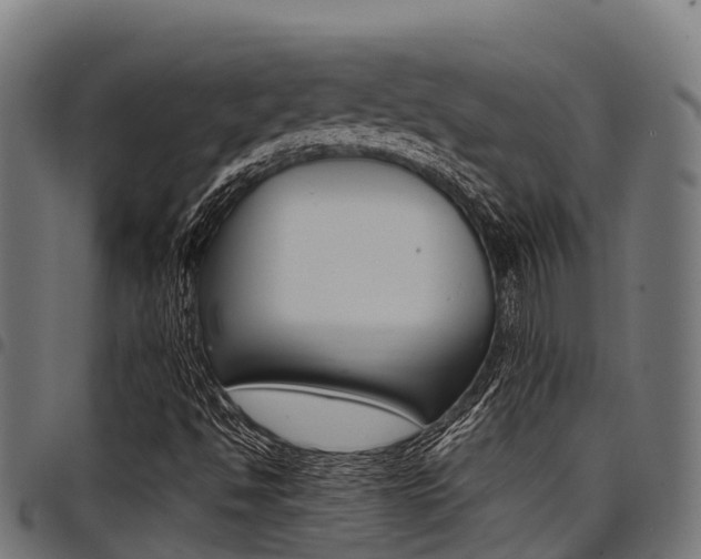 X0000098021494200803280741