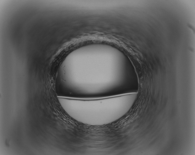X0000098021495200803280741