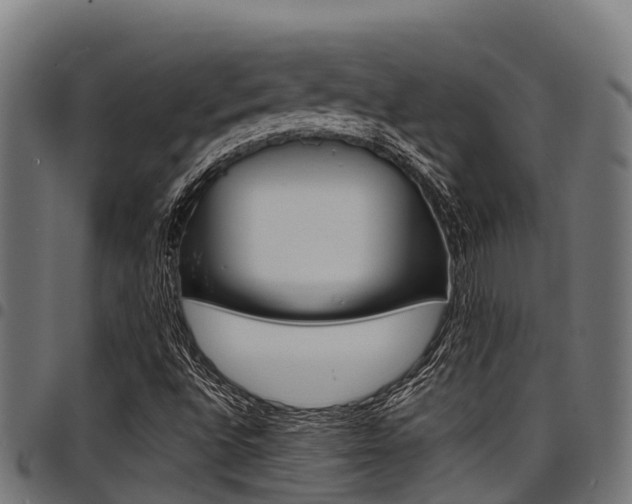 X0000098021496200803280741