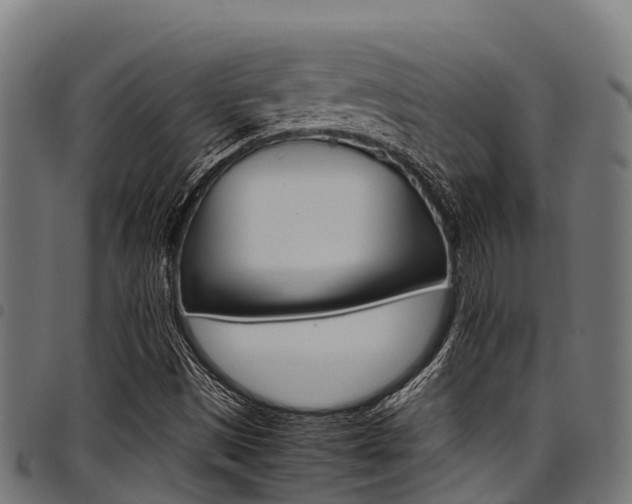 X0000098021497200803280741