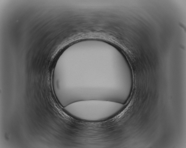 X0000098021498200803280741