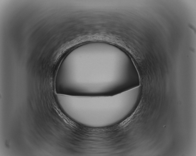 X0000098021499200803280741