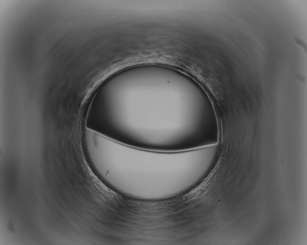 X0000098021500200803280741