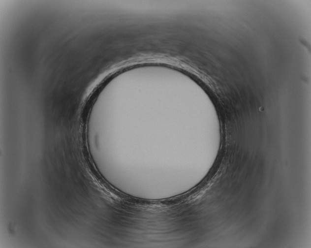 X0000098021502200803280741