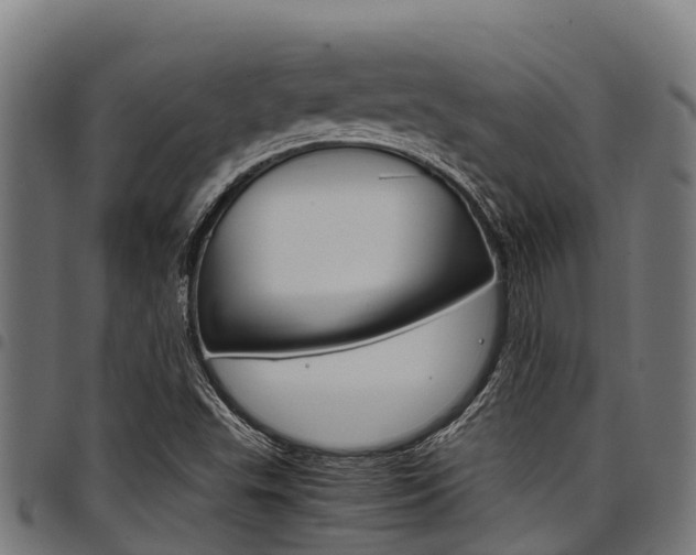 X0000098021503200803280742