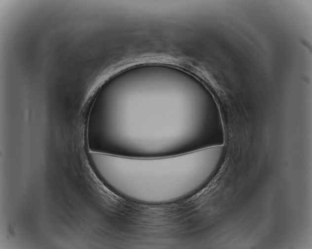 X0000098021504200803280742