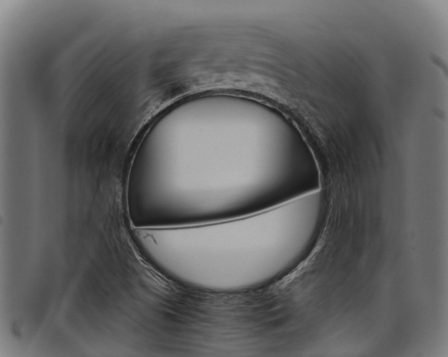 X0000098021505200803280742