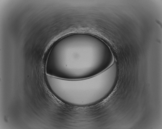 X0000098021506200803280742
