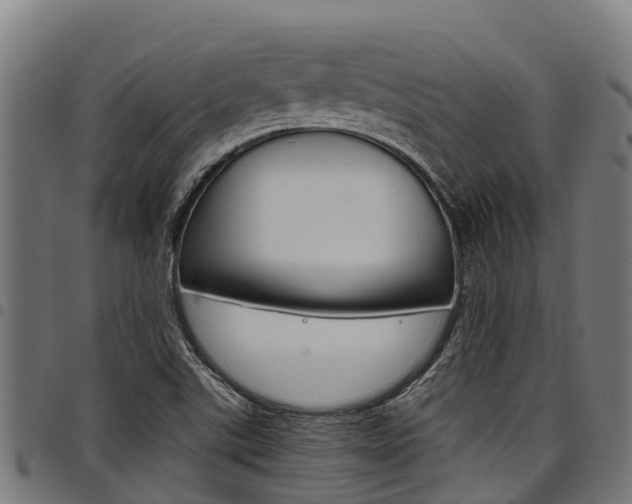 X0000098021507200803280742