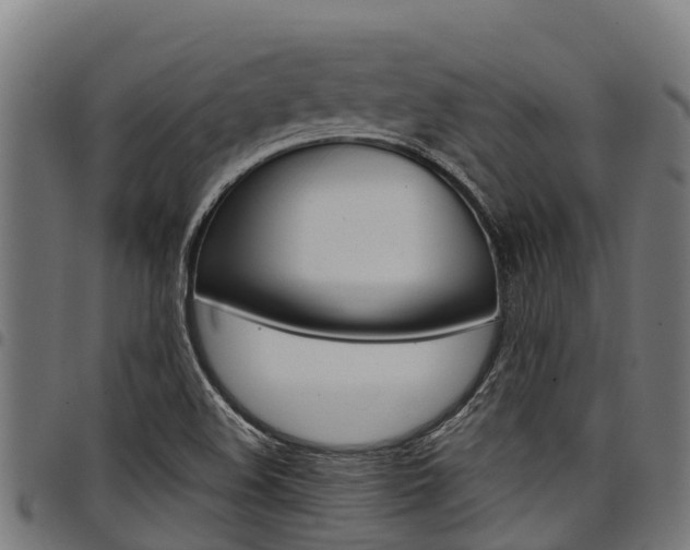 X0000098021508200803280742
