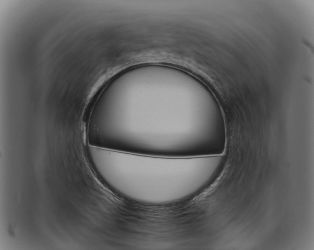 X0000098021509200803280742