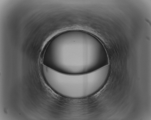 X0000098021510200803280742