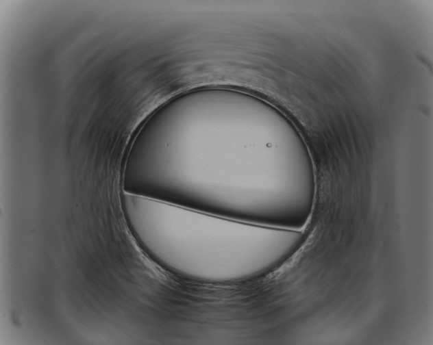 X0000098021513200803280742