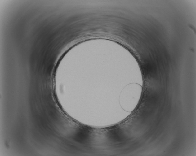 X0000098021514200803280742