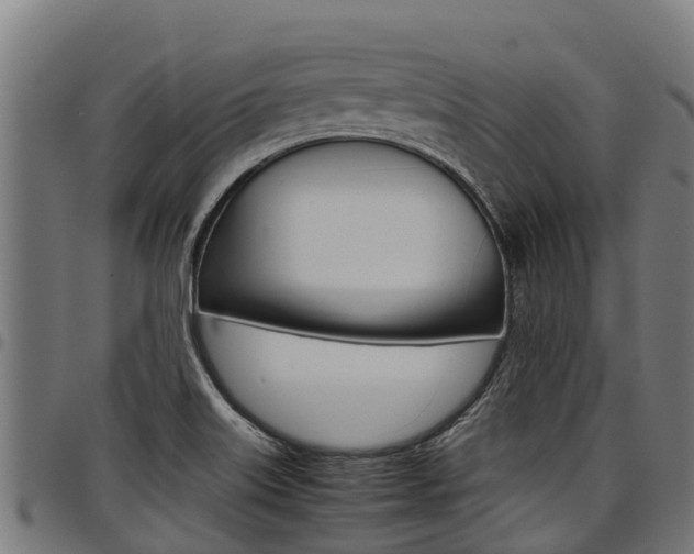 X0000098021515200803280742