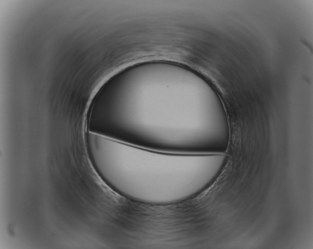 X0000098021516200803280742