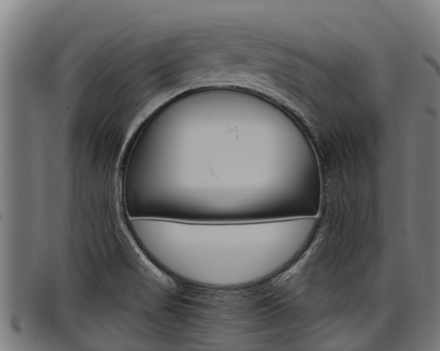 X0000098021517200803280742