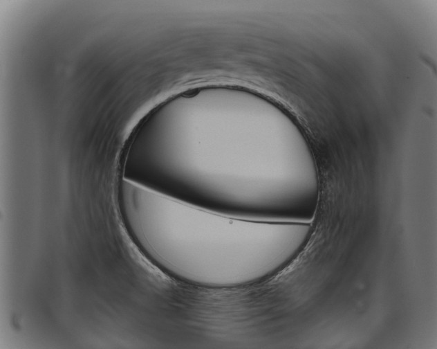 X0000098021518200803280742