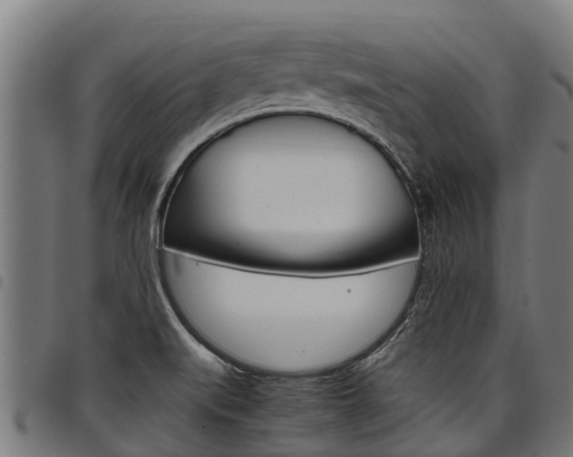 X0000098021519200803280742