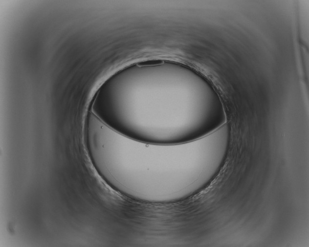 X0000098021520200803280742