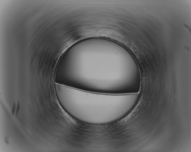 X0000098021521200803280742