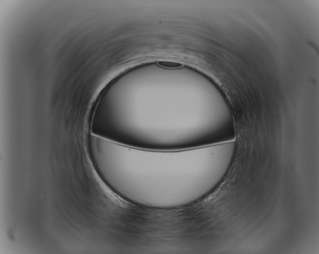 X0000098021523200803280742