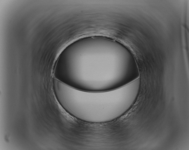 X0000098021524200803280742