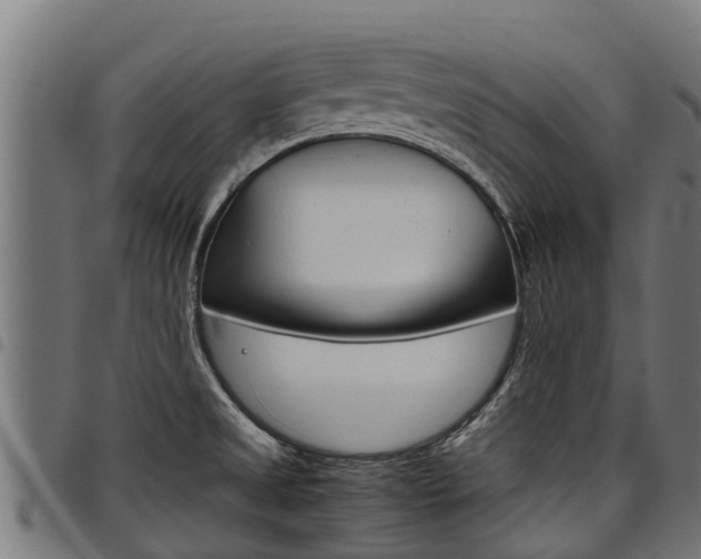 X0000098021525200803280742