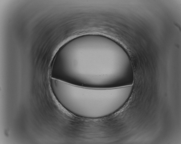 X0000098021526200803280742