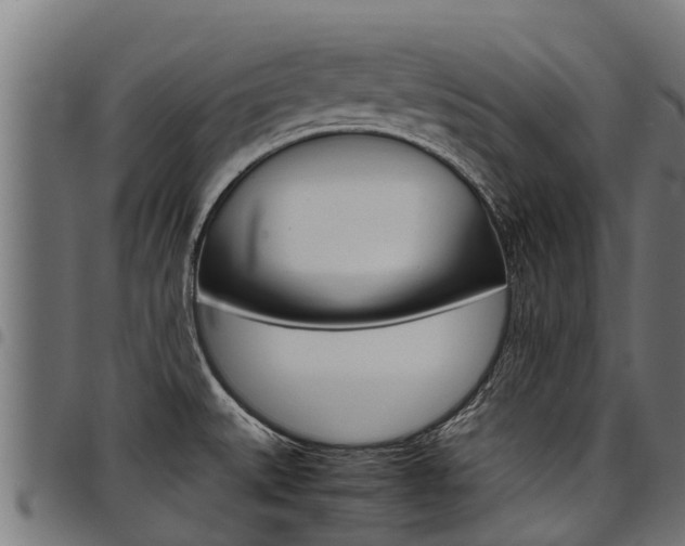 X0000098021527200803280742