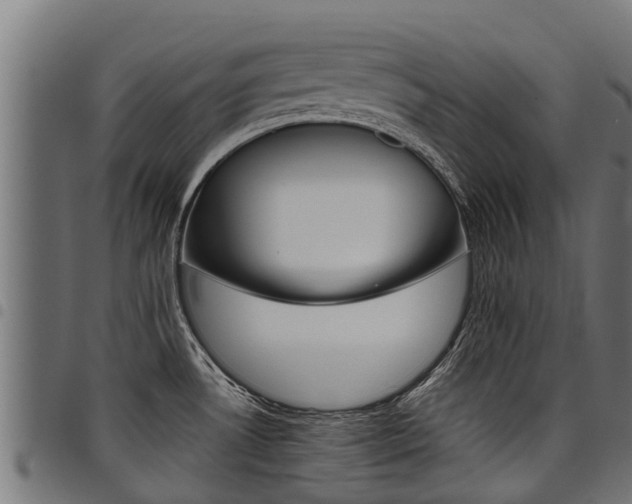 X0000098021530200803280742