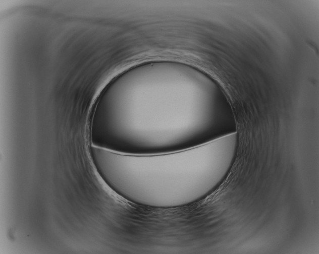 X0000098021531200803280742