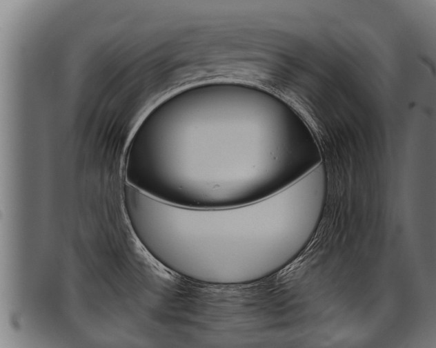 X0000098021532200803280742
