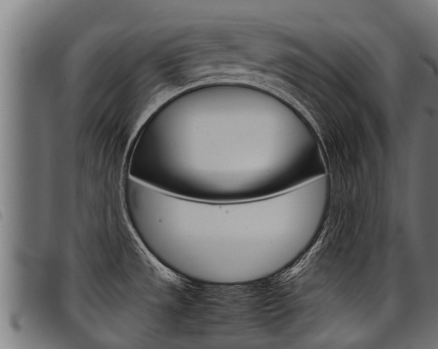 X0000098021533200803280742