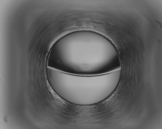 X0000098021534200803280742