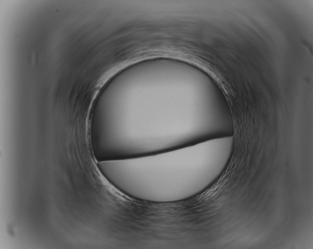 X0000098021535200803280742