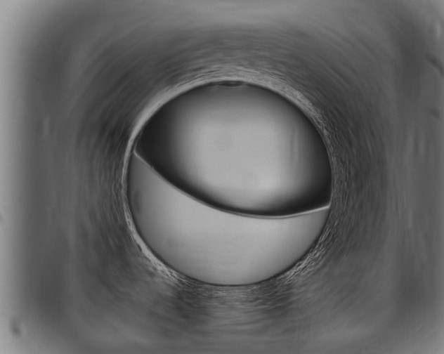 X0000098021536200803280742