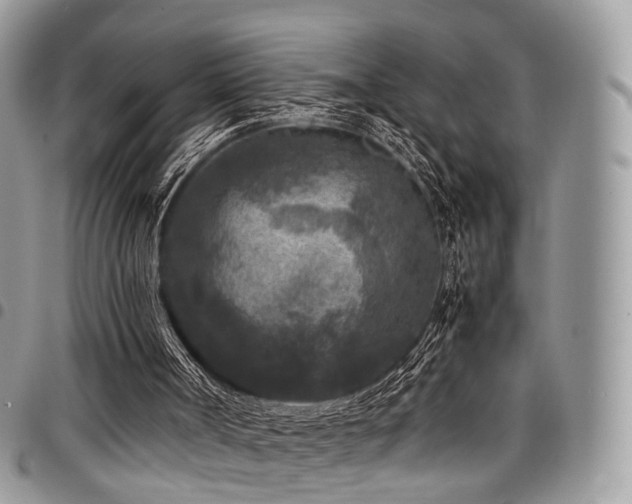 X0000098020002200803281344