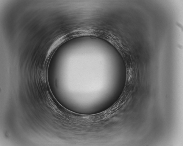 X0000098020004200803281344