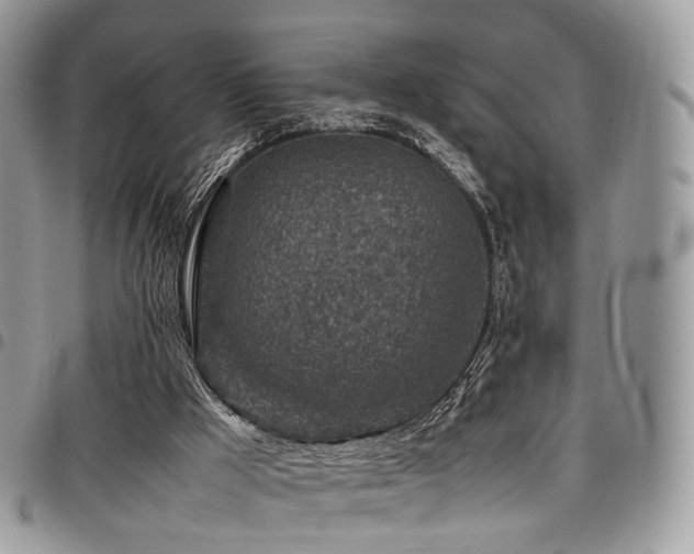 X0000098020009200803281344