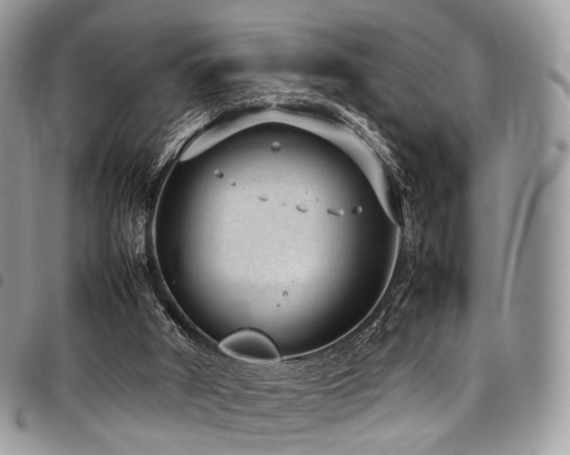 X0000098020010200803281344