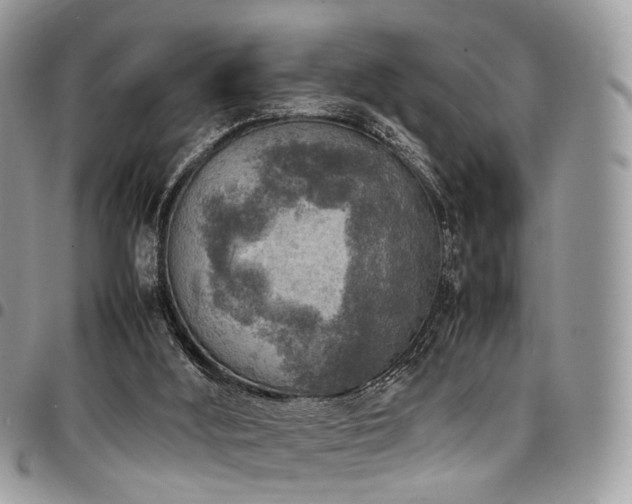 X0000098020012200803281344