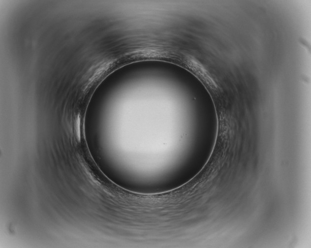 X0000098020014200803281344