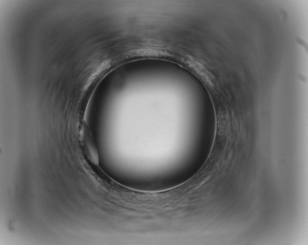 X0000098020015200803281344