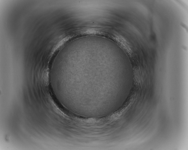 X0000098020016200803281344