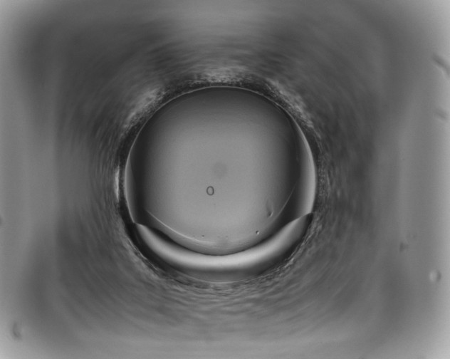 X0000098020019200803281344