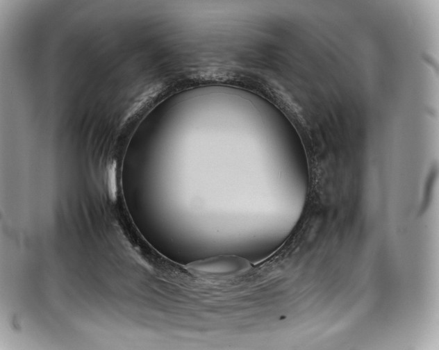 X0000098020020200803281344