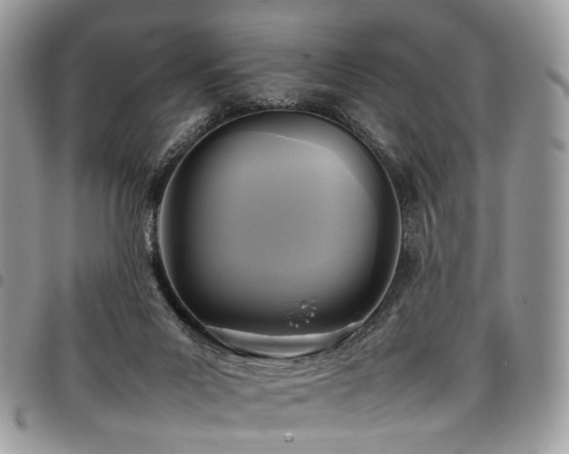 X0000098020023200803281344